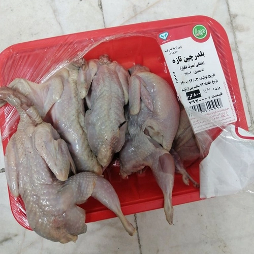 گوشت پرندگان