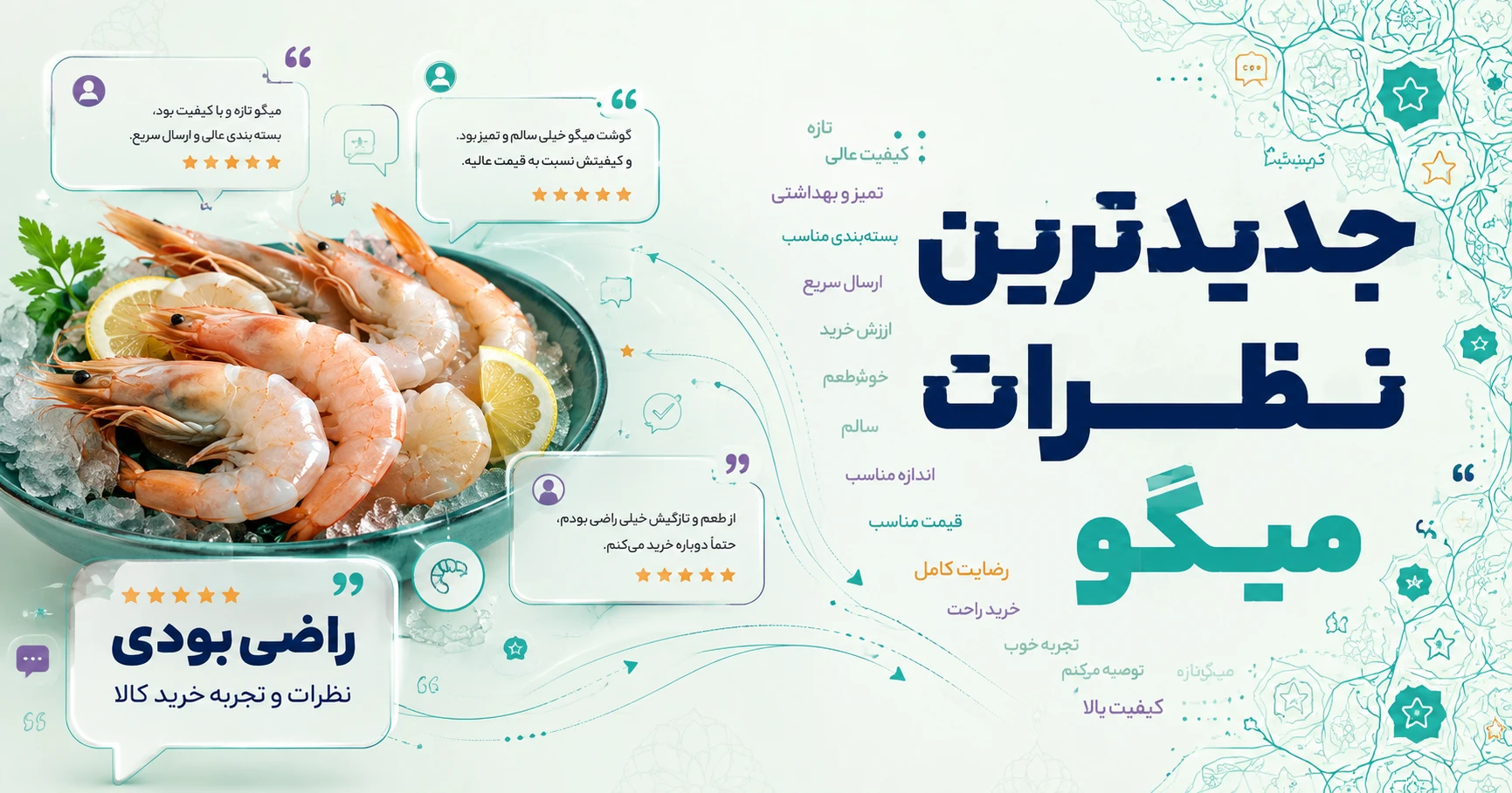 نظرات میگو