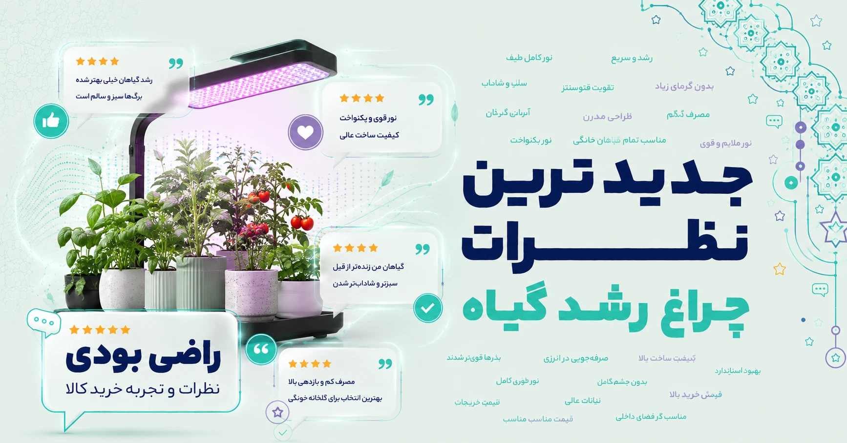 نظرات چراغ رشد گیاه